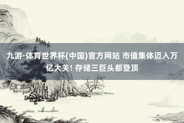 九游·体育世界杯(中国)官方网站 市值集体迈入万亿大关! 存储三巨头都登顶