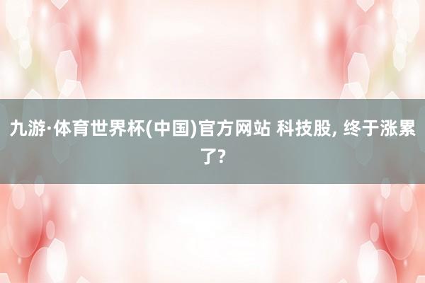 九游·体育世界杯(中国)官方网站 科技股, 终于涨累了?