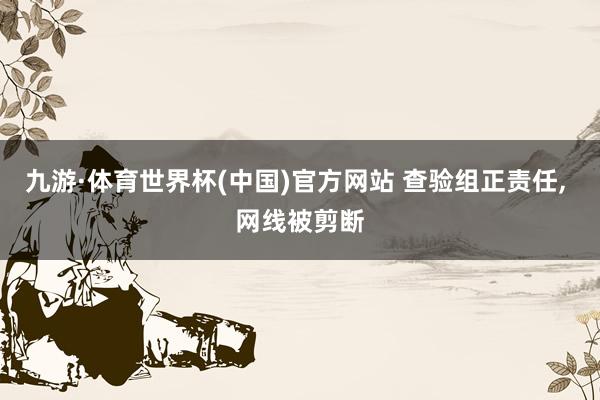 九游·体育世界杯(中国)官方网站 查验组正责任, 网线被剪断