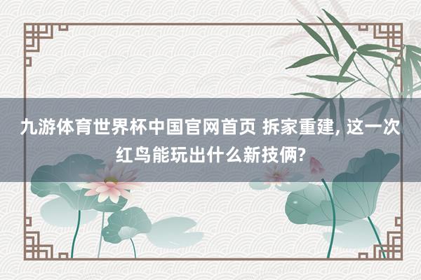 九游体育世界杯中国官网首页 拆家重建, 这一次红鸟能玩出什么新技俩?