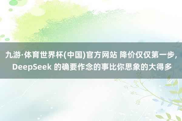 九游·体育世界杯(中国)官方网站 降价仅仅第一步, DeepSeek 的确要作念的事比你思象的大得多