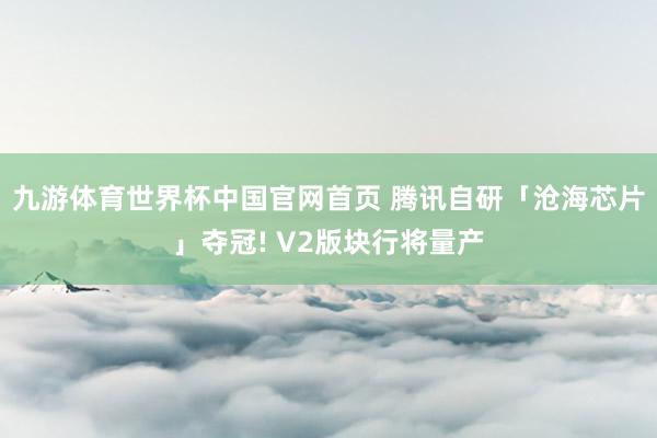 九游体育世界杯中国官网首页 腾讯自研「沧海芯片」夺冠! V2版块行将量产