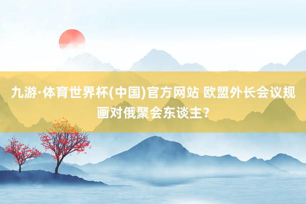 九游·体育世界杯(中国)官方网站 欧盟外长会议规画对俄聚会东谈主?