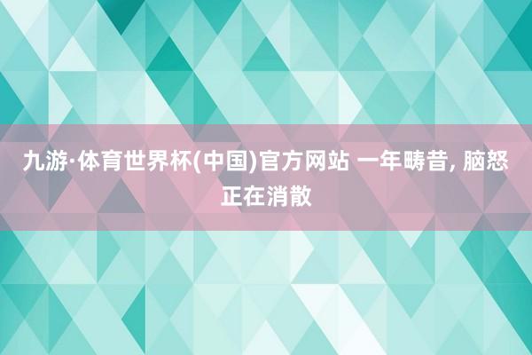 九游·体育世界杯(中国)官方网站 一年畴昔, 脑怒正在消散