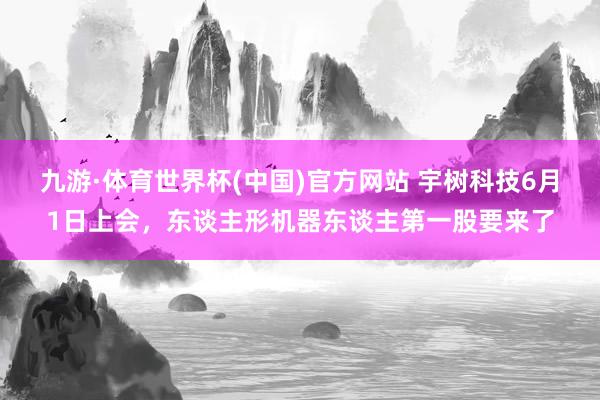 九游·体育世界杯(中国)官方网站 宇树科技6月1日上会,东谈主形机器东谈主第一股要来了