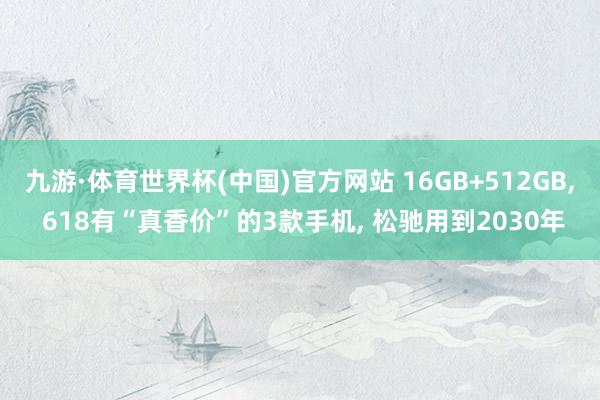 九游·体育世界杯(中国)官方网站 16GB+512GB, 618有“真香价”的3款手机, 松驰用到2030年