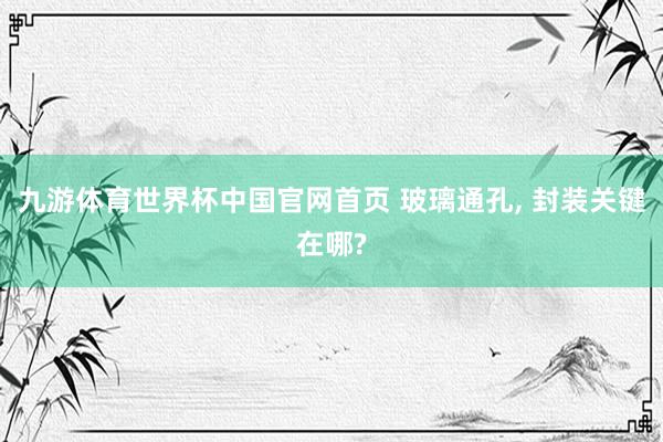 九游体育世界杯中国官网首页 玻璃通孔, 封装关键在哪?