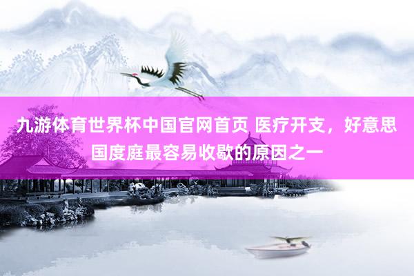 九游体育世界杯中国官网首页 医疗开支，好意思国度庭最容易收歇的原因之一