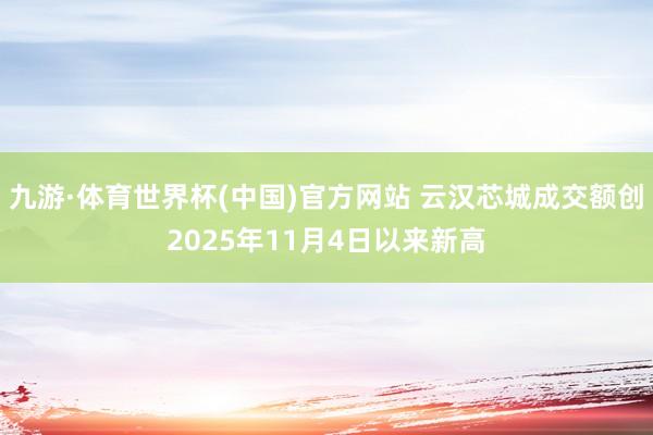 九游·体育世界杯(中国)官方网站 云汉芯城成交额创2025年11月4日以来新高