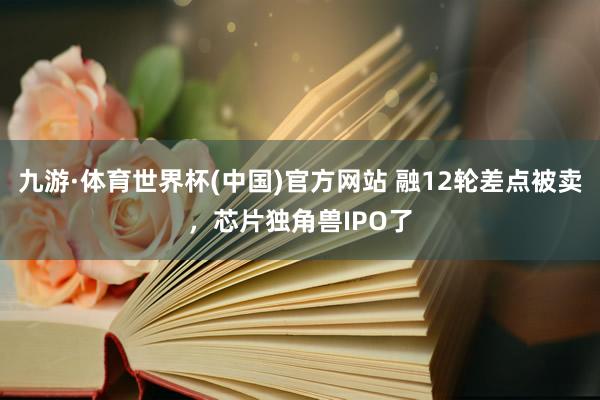 九游·体育世界杯(中国)官方网站 融12轮差点被卖,芯片独角兽IPO了