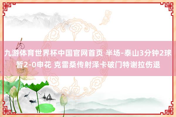 九游体育世界杯中国官网首页 半场-泰山3分钟2球暂2-0申花 克雷桑传射泽卡破门特谢拉伤退