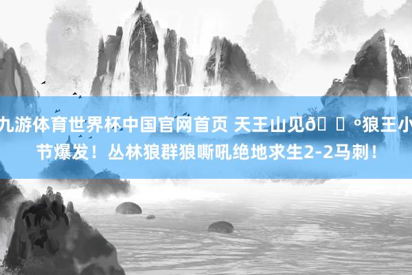九游体育世界杯中国官网首页 天王山见🐺狼王小节爆发！丛林狼群狼嘶吼绝地求生2-2马刺！