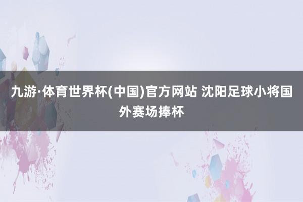 九游·体育世界杯(中国)官方网站 沈阳足球小将国外赛场捧杯