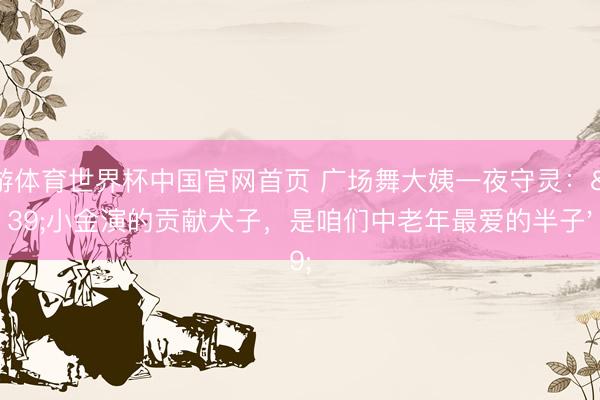 九游体育世界杯中国官网首页 广场舞大姨一夜守灵:'小金演的贡献犬子,是咱们中老年最爱的半子'