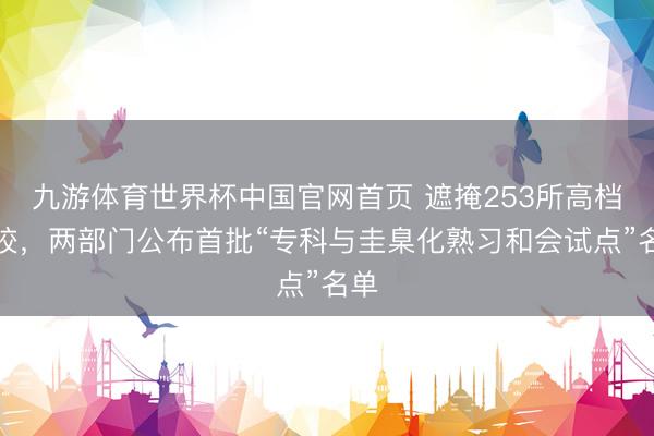 九游体育世界杯中国官网首页 遮掩253所高档院校,两部门公布首批“专科与圭臬化熟习和会试点”名单